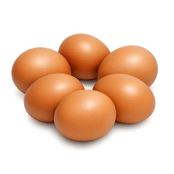 Egg
