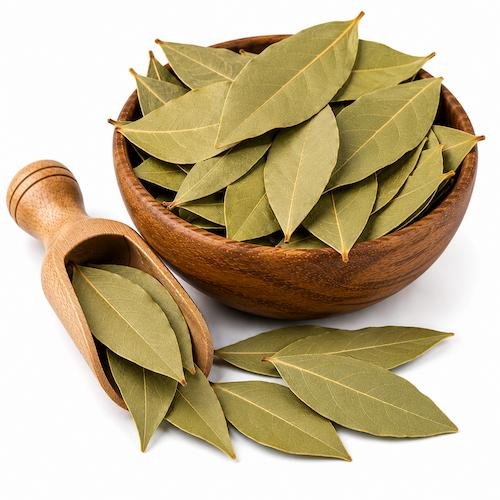 Bay Leaf