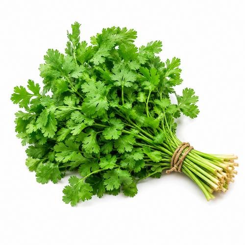 Coriander Leaves