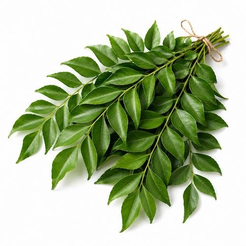 Curry Leaves