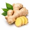 Ginger