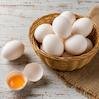 Egg